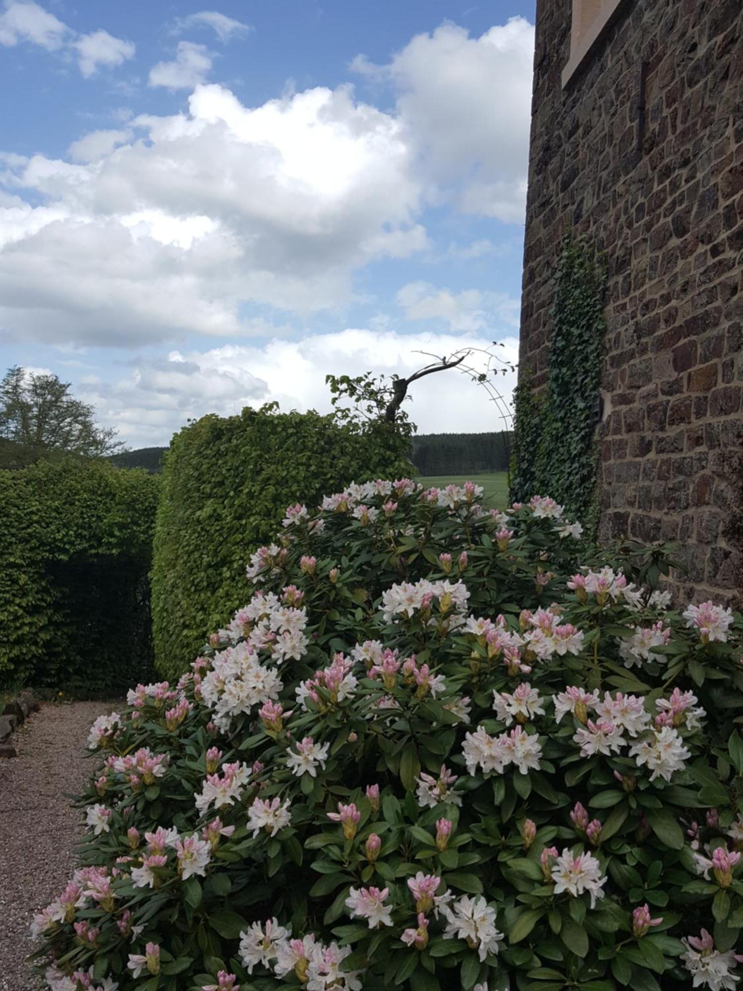 Die Alte Schule Haeuschen St. Vith Værelse billede